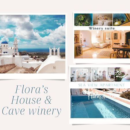 Flora'S House & Cave Winery Vila Pýrgos Exterior foto